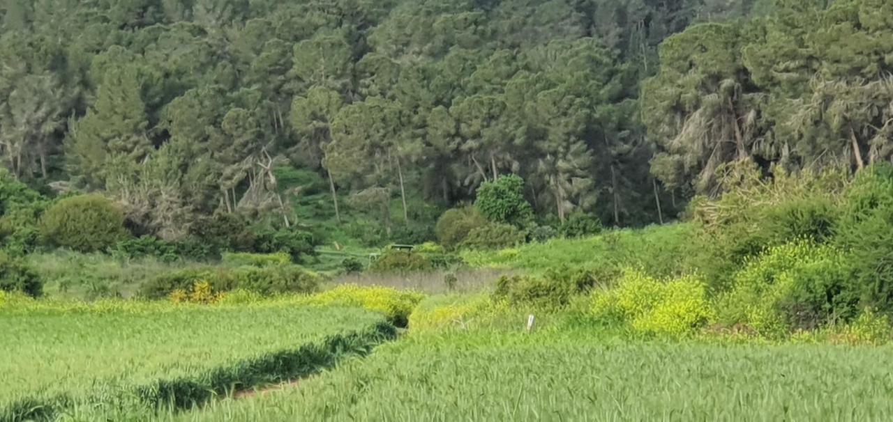 Hemdatya Stone Suites In The Galilee Ilaniya Zewnętrze zdjęcie