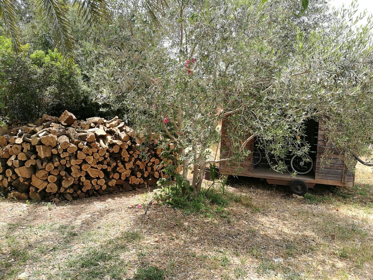 Hemdatya Stone Suites In The Galilee Ilaniya Zewnętrze zdjęcie