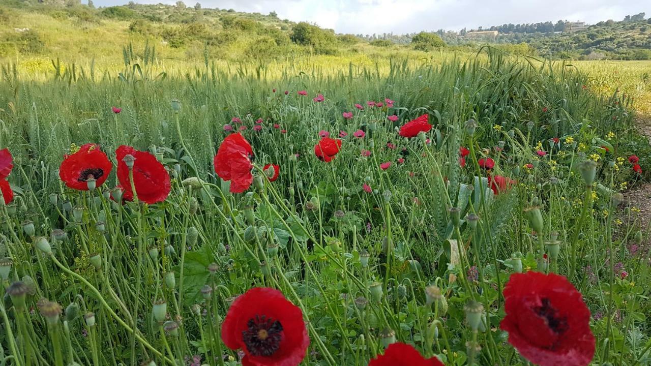 Hemdatya Stone Suites In The Galilee Ilaniya Zewnętrze zdjęcie